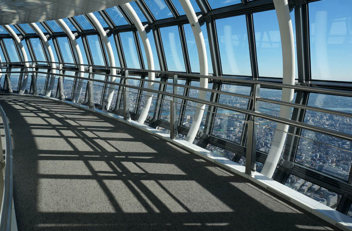 �H�̓����͑��������ǂ���I�u�����_�{�O���v�Ɓu�����X�J�C�c���[�v