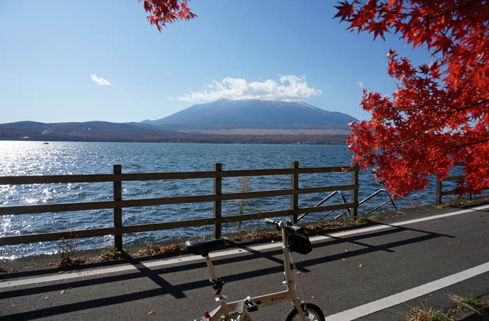 �T�C�N�����O�Ŋy�������I�x�m�R�ƎR���΂̔������g�t