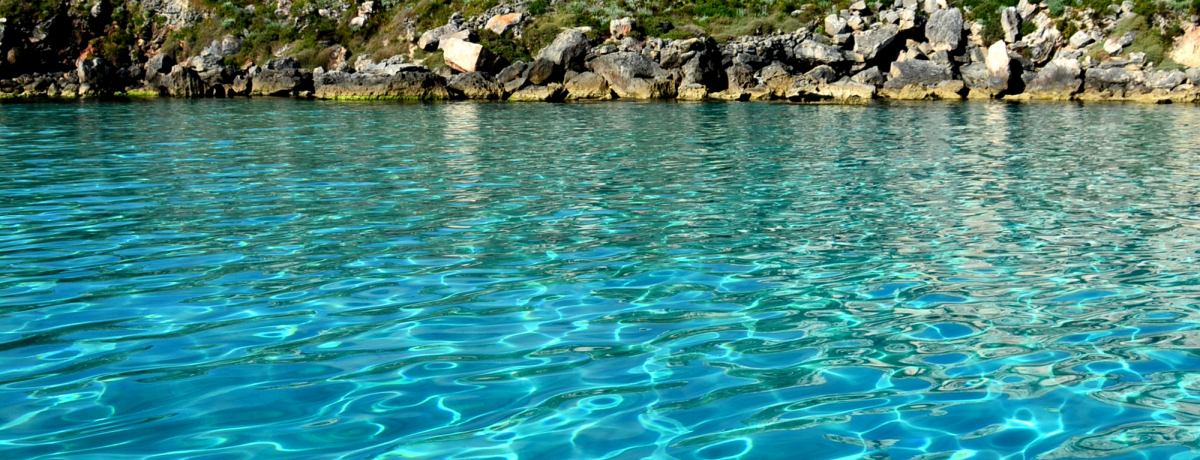 ���R�뎡��CM����I�ɁE�t�@���B�j���[�i���̓����x���Q�̊C�ƃZ���X����X