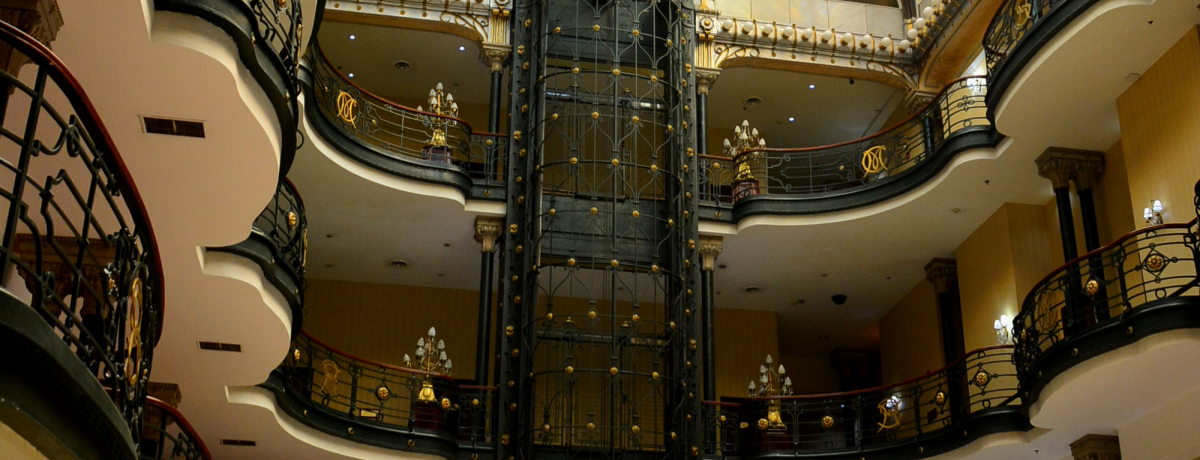 LVRVeB̓shzeuO ze VE^bh f qRv͗nQI