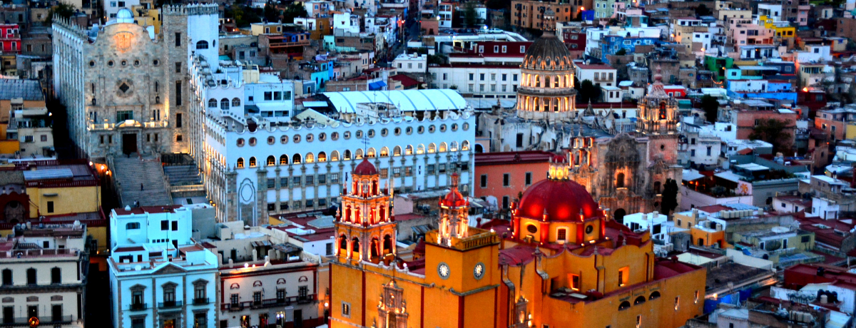 ���L�V�R�̃J���t���^�E���u�O�A�i�t�H�g�v�̊ό��|�C���g�͂����I