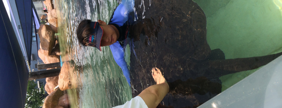 �P�����V�ׂ�I�G�C�ɂ��G���}�j���u�I�[�V�����p�[�N�v