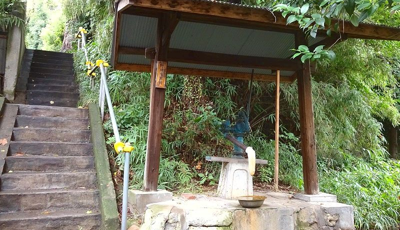 �U�􂷂�Ȃ�R�R�I�H�n�}�j�A�K���̓����J���E�G�̖����T�I