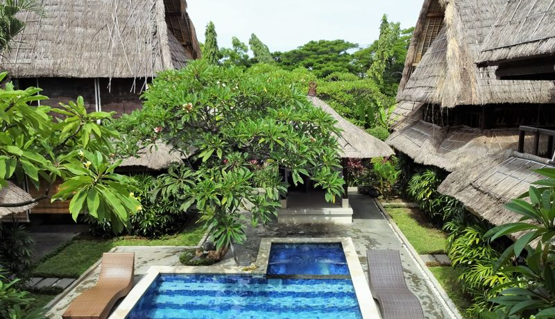 15ĝ݁IoM̉BƃBufBAgEWFvEBv