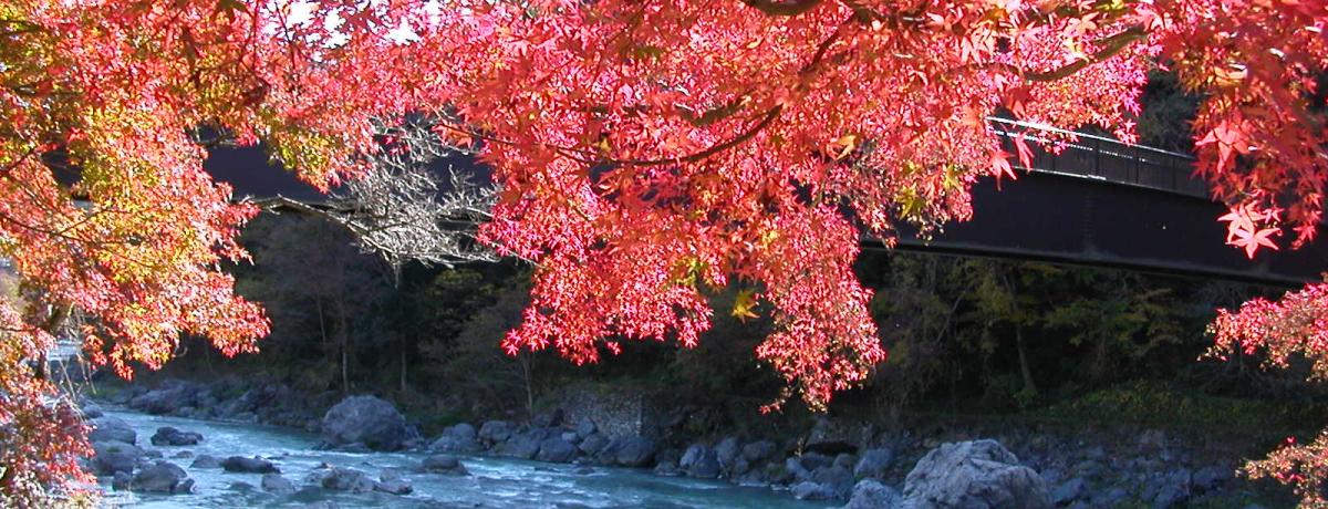 �����̉����~�E�������u��x�k�J�v�ŏo��g�t�Ɛ��A�����ăI�I�J�~���I