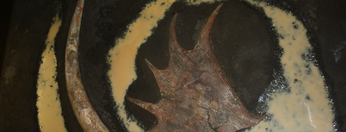 쌧uK΃iE}]EفvX͊A{Ƀ]EI