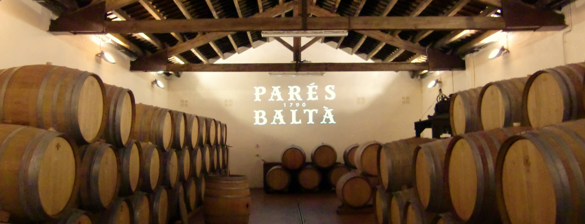 XyCŖ{̃J@IwPares Baltax͌wł邨߂̃Ci\