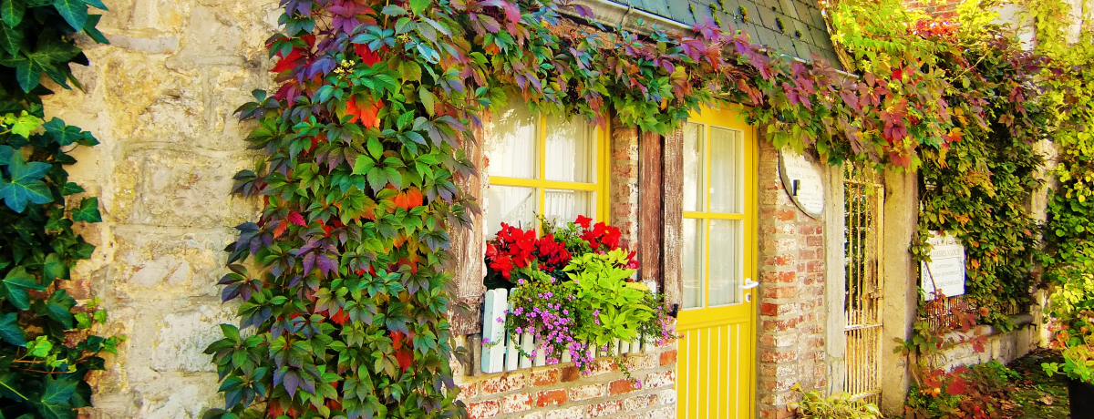 ŜA[giIEꏬȒxM[EfrC