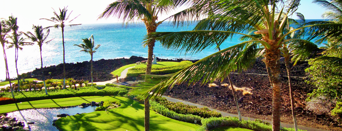 ɏナ][g̓nCɂIqgCRArbWɔ܂낤I