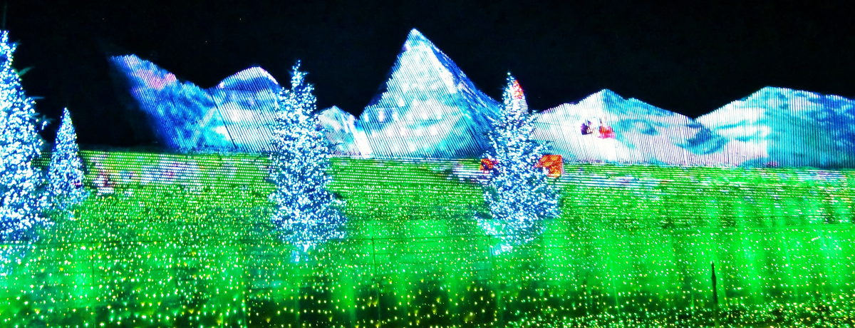 ȂAvX̏nCWƂ̃R{IȂ΂Ȃ̗C~l[V