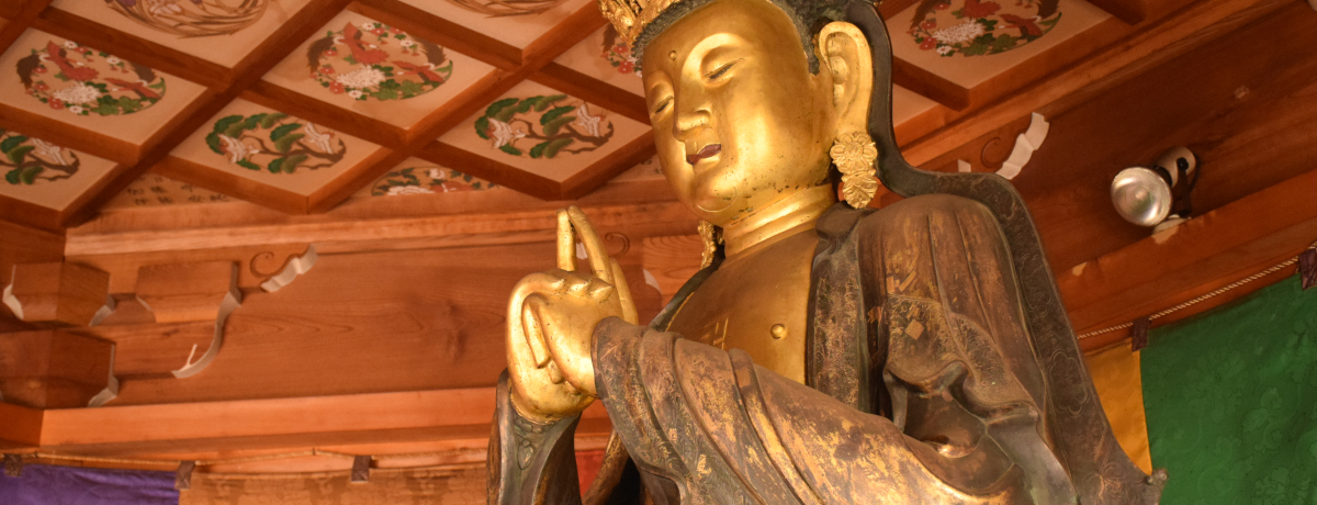 �g�ܘY�ۃ|�[�Y�h�̑���@�����L���ɁI�򕌌��u�֑P�����v