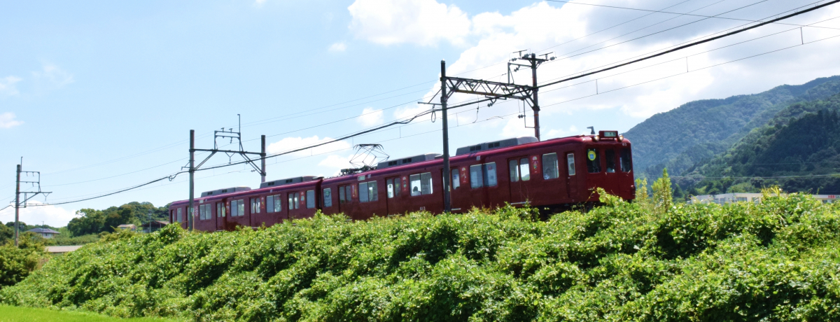 �򕌂ƎO�d�����ԁu�{�V�S���v�͂̂�т�r�����Ԃ̗����ʔ����I