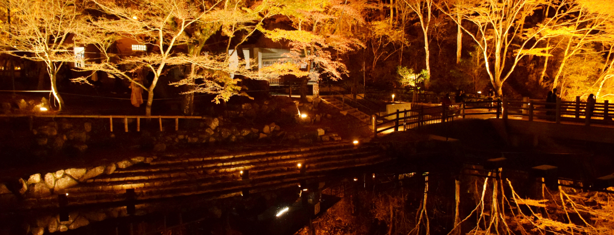 CgAbv̋tgtzIImˎsu≮v