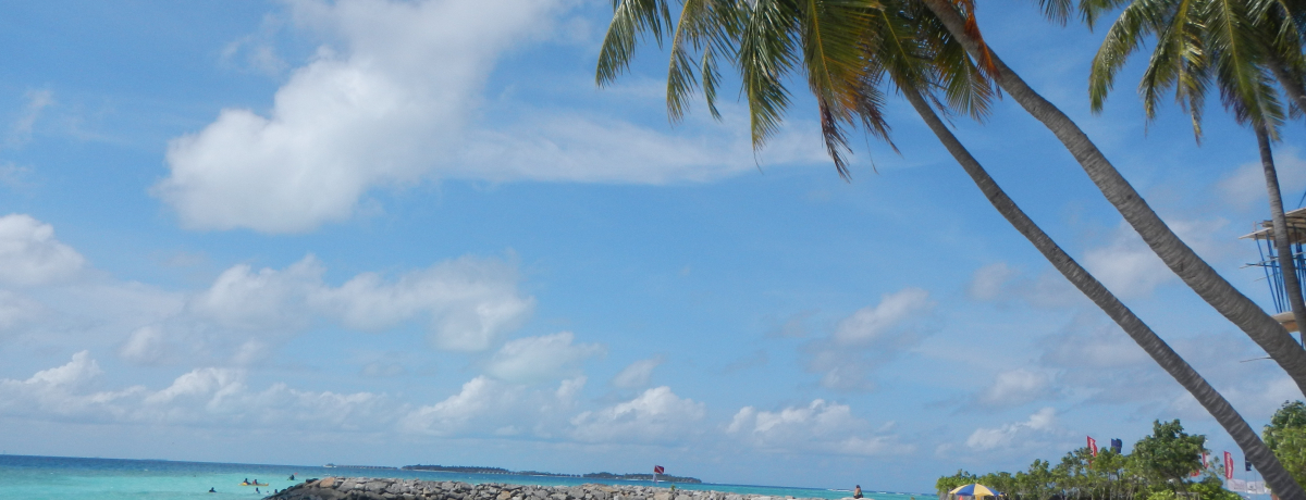 �����������f�B�u���I��l�C�u�}�[�t�V���v�؍݂̂�����