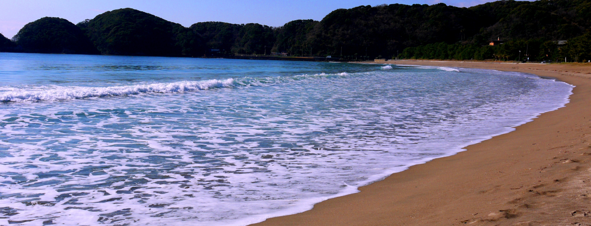 ��i�~����~�C�̍K�I�u�x�ɑ� ��ɓ��v�́g���{�̏��S�I�h�|���l�̐l�C�h