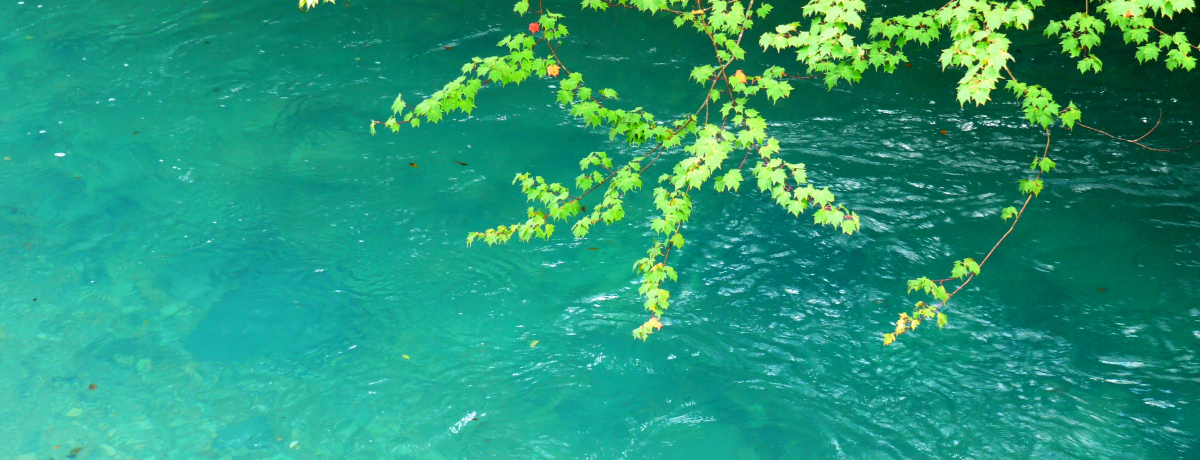 ���R����O�����܂ŁI�Q�n�E�l������ɍs�������T�̗��R