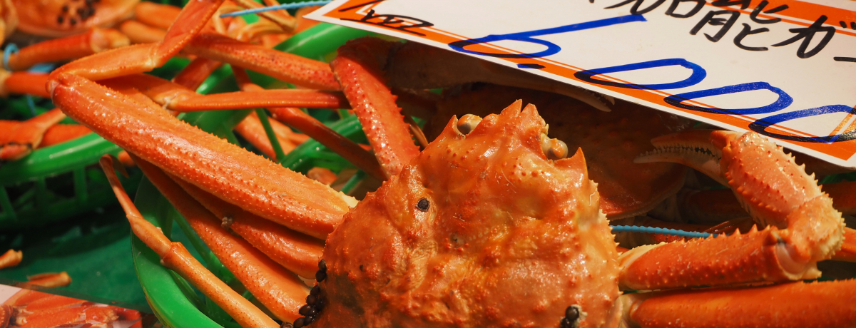 ڂݑ܂喞IsȂᑹ́uߍ]sv