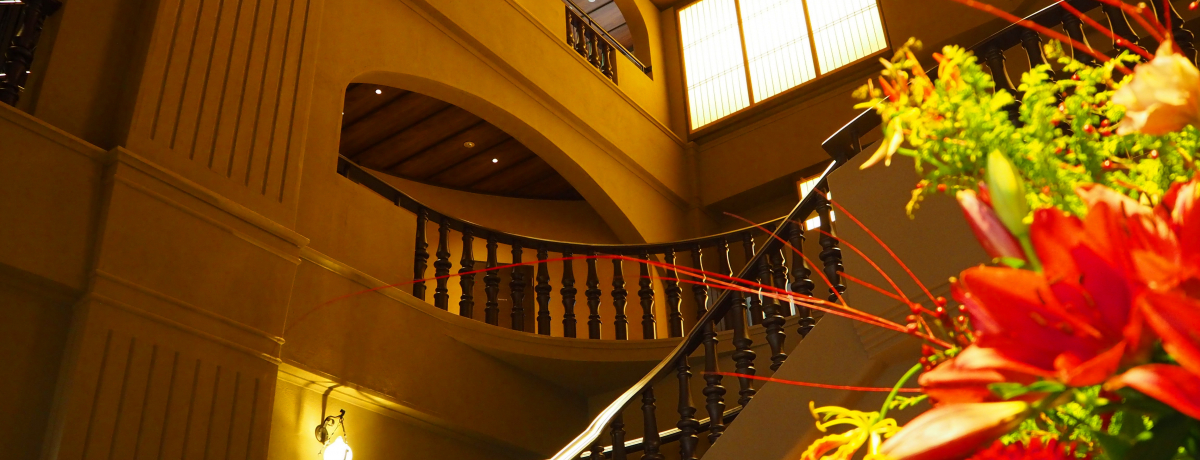 WH̉~A艷u킶l{vŉ߂ȋx