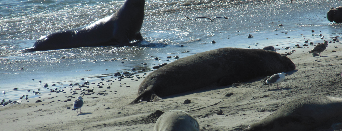 ]EAUV~߂JtHjÅyuAjkG{v