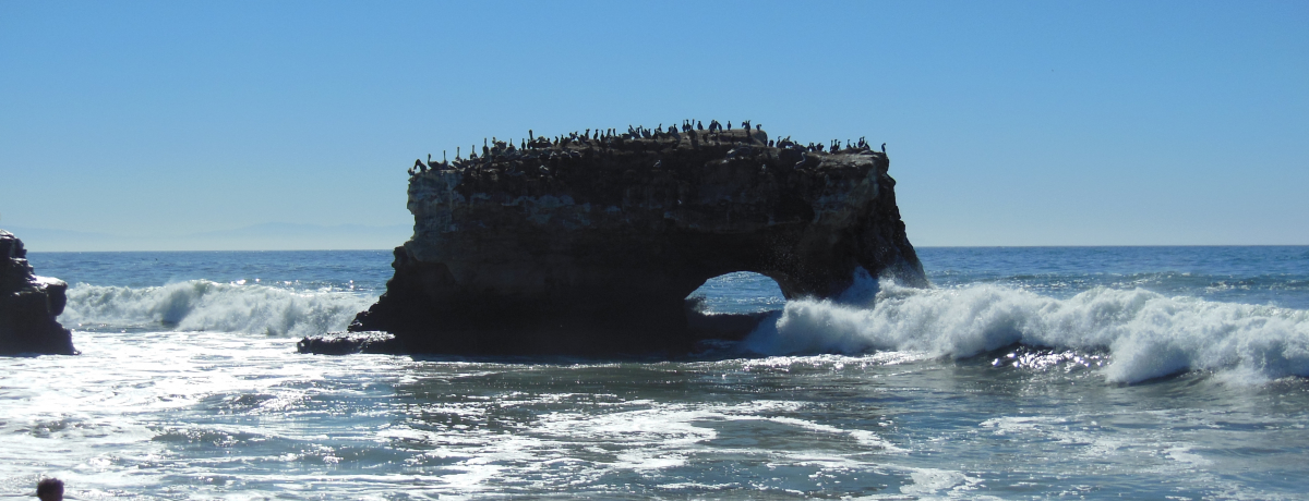 ĐC݃T^N[YILLCƂт̃A[`