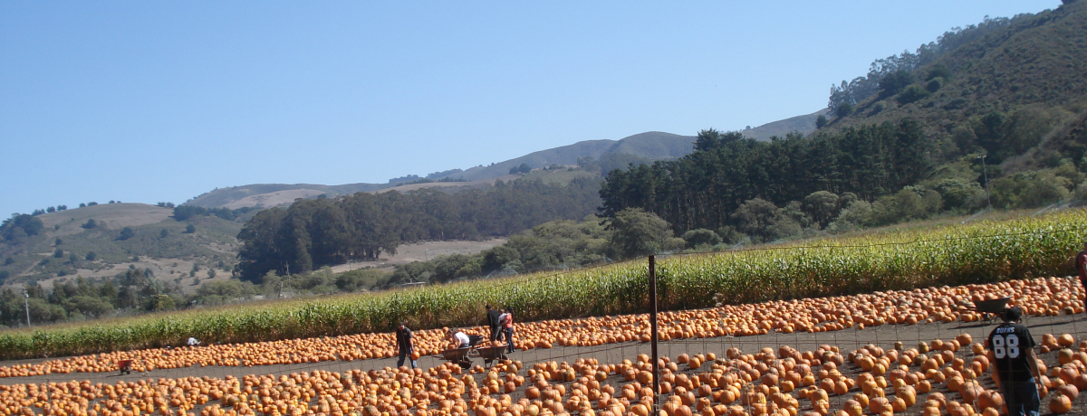 IWFɐ܂HIJtHjÃpvLEtFXeBo