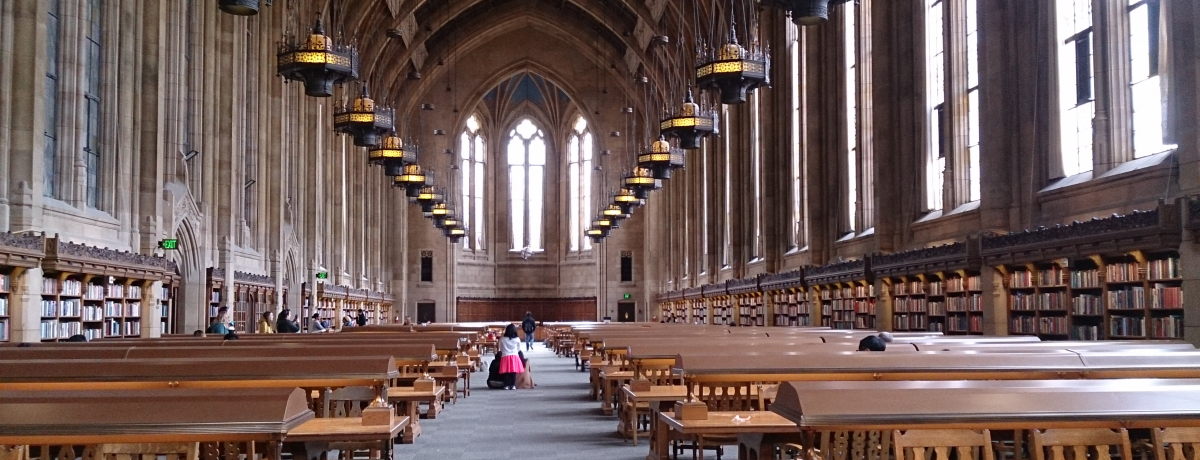 �n���[�|�b�^�[��f�i�I���V���g����w�X�U���}���ق̑����Ȕ����