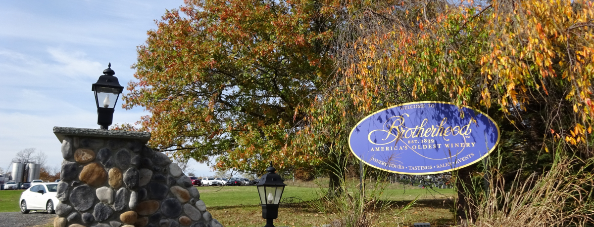 čŌẪCi[Ij[[NuuU[tbhvŊyރC̗j