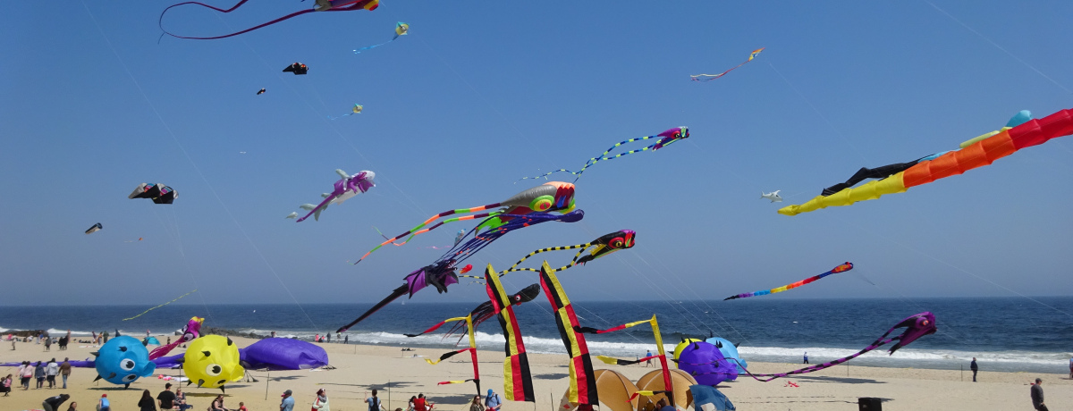 j[[NAIuW[W[ VAvŃJtȑ吼m𖞋i