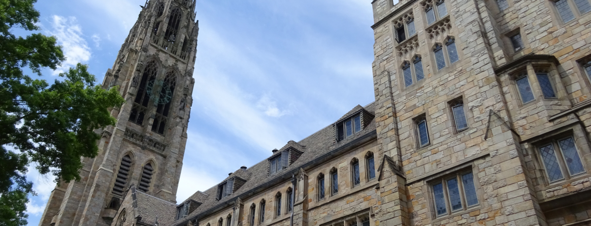 �āE����C�F�[����w�̂���X�u�j���[�w�C�u���v�͔����ق��������I