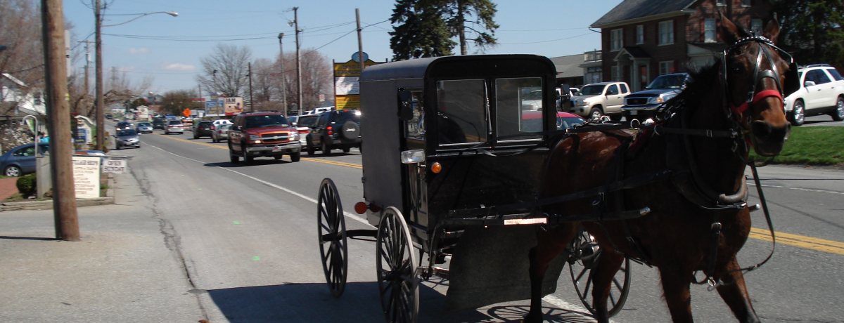 ɂ̃GRɊIăyVxjABŃA[~bV̑K˂