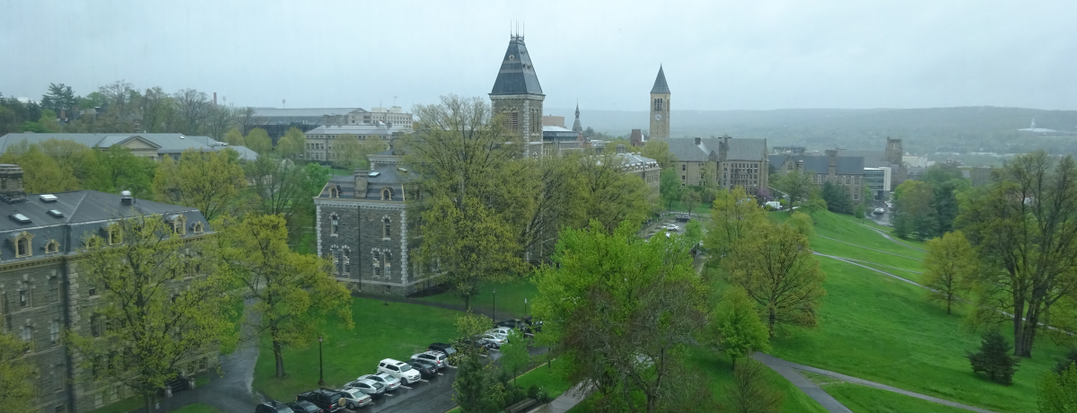 LpXɑ΂INYBCTJ̃R[lw