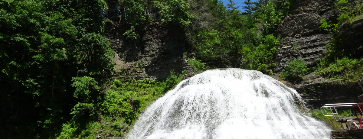 �����ȏB�������ցINY�B�t�B���K�[���C�N�X�K���̑�S�I