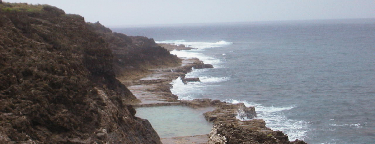 �����̒��̗����֏㗤�@��哌����