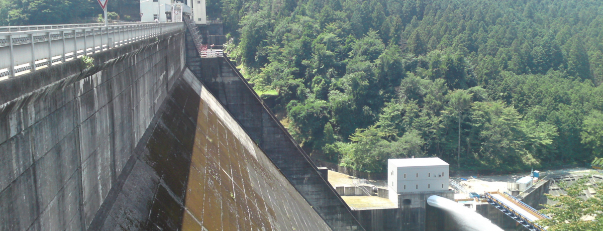 ���m������������Ɉʒu����u�O�͌΁v�ł̂�т�s�N�j�b�N�I�Ί݂̐������ꂽ�U���H�͂��U���ɂ��œK��