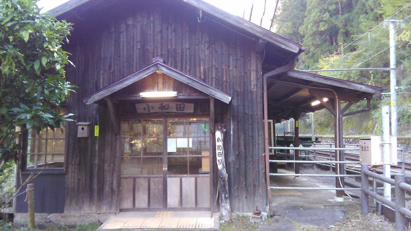 鋫w̃Ip[hIJRѓcEÉGAK˂