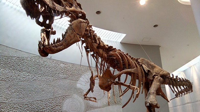 ƗVnƔقPɂȂ@Lûقp[Nv