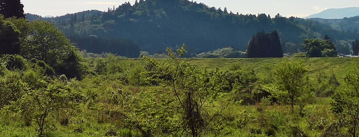 EYɂ́ủ@vImlm錎R_