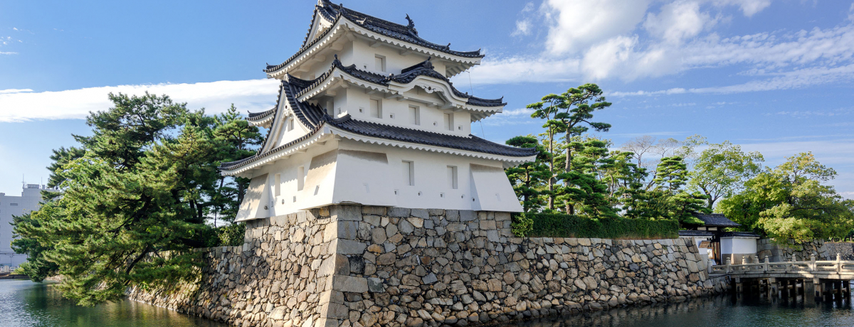 ����u�ʑ���v�Ɓu����̓��̎]�򂤂ǂ�v�𖡂키�����̗�