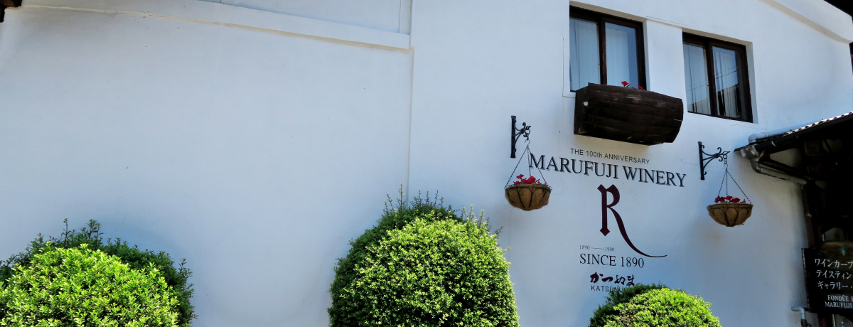 ���������݂����I�R�������̍b�B���C�������߃��C�i���[�T�I