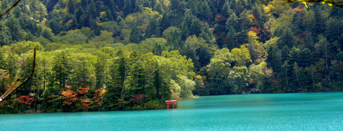 �M�B�E�u�ꍂ���Ő_��̋P�������������r��ڎw���[���g���b�L���O