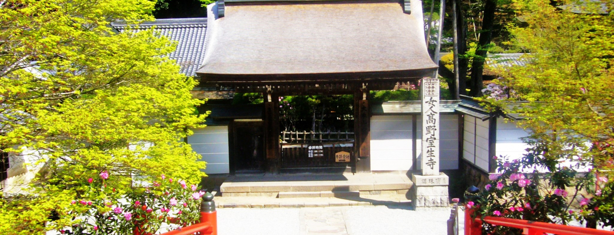 ޗǂ̖uvD낳ƋCi邻̖͂Ƃ́H