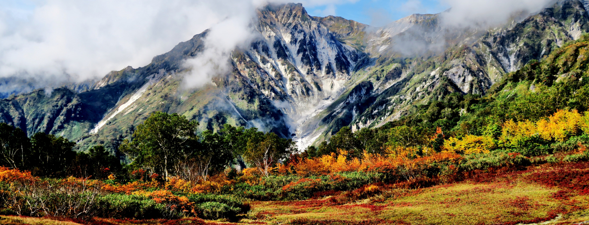 MBnu̒rRv͋̐FʔIEԁE΂̎Oigt\