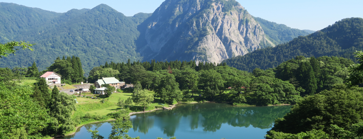 �V���u������v�̓q�X�C�ƌÑ�̃��}���������n�̌���