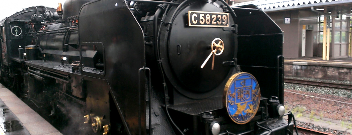 ���uSL��́v�ɏ���ċ{�򌫎��̐��E��̌����闷