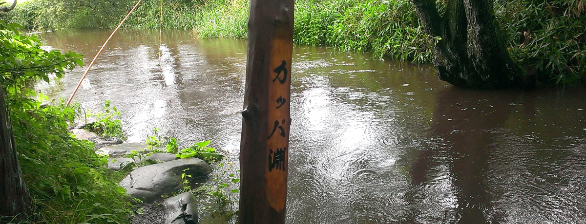 �g�J�b�p�ߊl���؁h��Y�ꂸ�ɁI��艓��u�J�b�p���v�œ`�������؂��闷