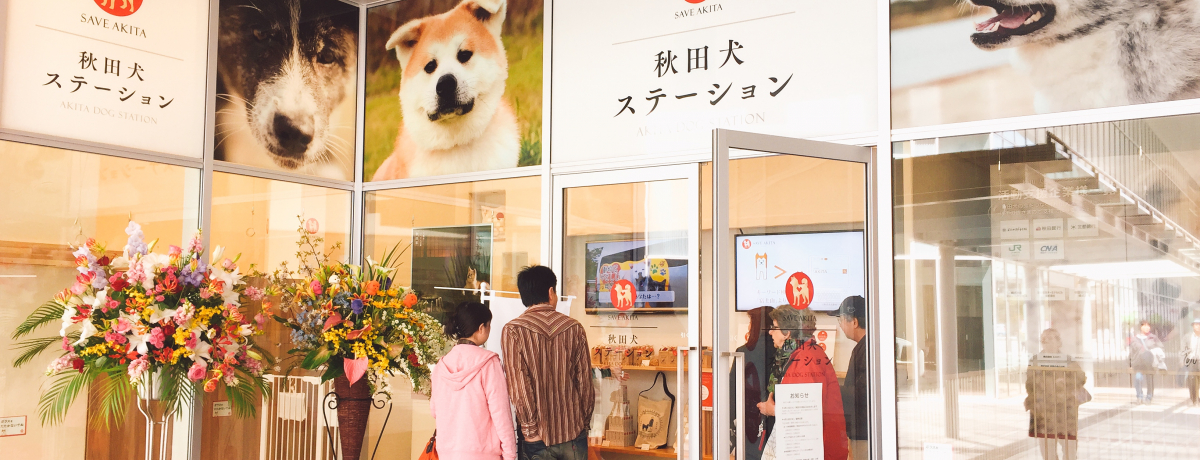 �{��H�c�Ń��t���t��񂱂ɉ��I�u�H�c���X�e�[�V�����v