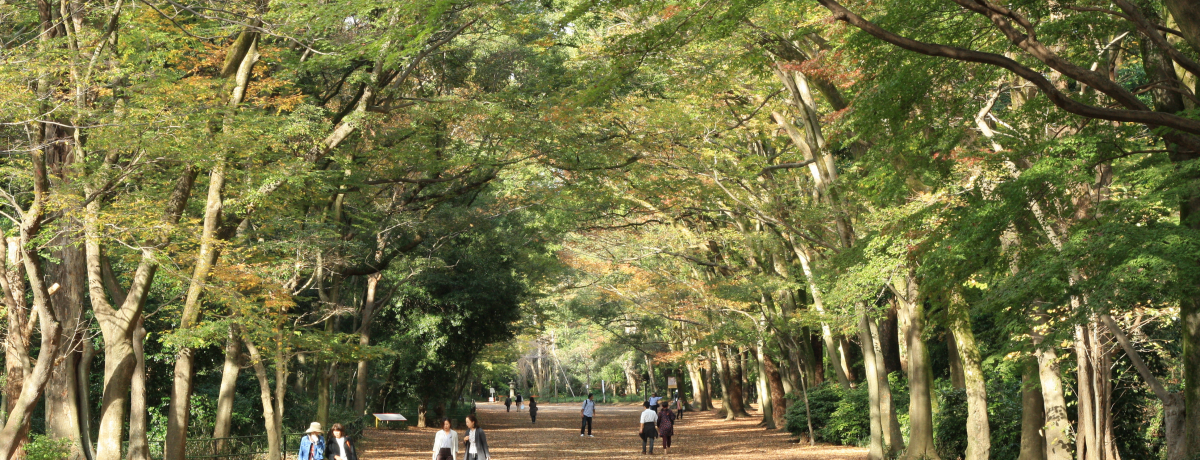 �w�����������x�̃|�X�^�[���B�e���ꂽ�����_�ЁE���̐X��