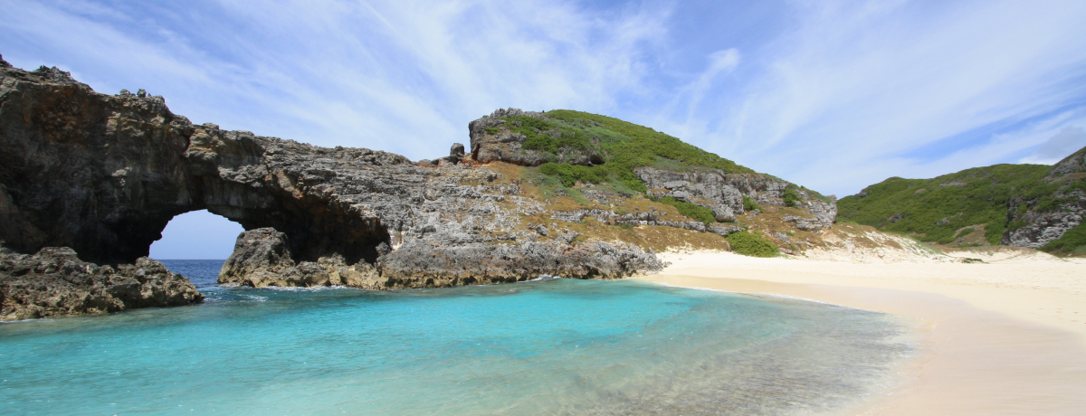 1100l̓!?}u쓇vŏoiƂ