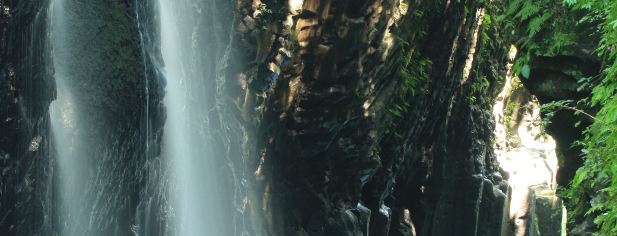 ܊SĂŐGĂقI{uv̐_X|bg