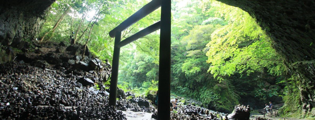 �{��ό��Ƀn�Y���Ȃ���i�܂Ƃ߁I���������R�������\���悤